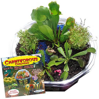 CARNIVOROUS CREATIONS