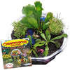 CARNIVOROUS CREATIONS
