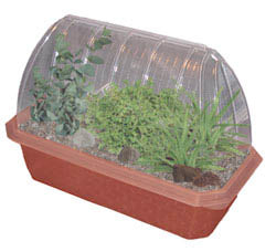 HEALING GARDEN WINDOWSILL GREEN HOUSE