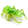 HEXBUG MICRO ANT ASSORTED COLORS