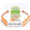 HEXBUG MICRO ANT ASSORTED COLORS
