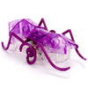 HEXBUG MICRO ANT ASSORTED COLORS