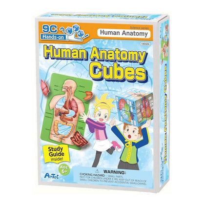 HUMAN ANATOMY CUBES WITH GUIDEBOOK