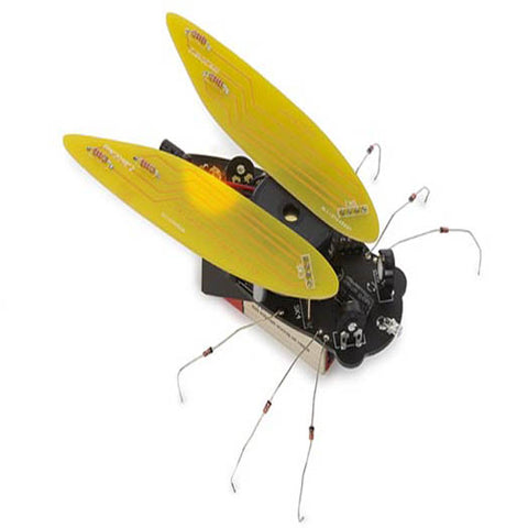 ELECTRONIC CICADA (INSECT)