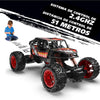 RADIO CONTROLLED OFF ROAD CAR 2.4GHZ