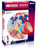 HUMAN HEART ANATOMY MODEL {{31PARTS W/STAND & ASSEMBLY GUI
