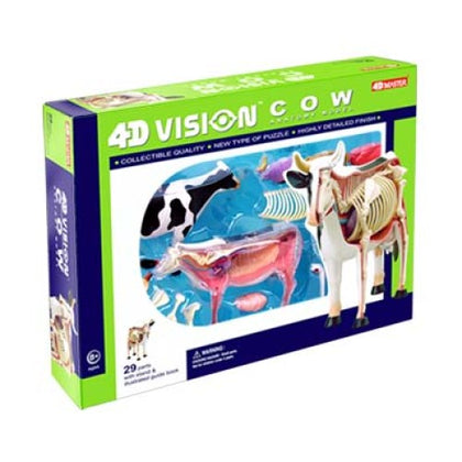 COW ANATOMY MODEL 29PARTS W/STAND & BOOK