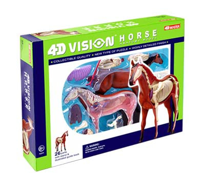 HORSE ANATOMY MODEL-AGES 8+ {{4D-VISION