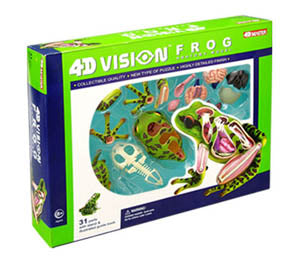 FROG ANATOMY MODEL 31 PIECES W/STAND AND BOOK