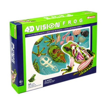 FROG ANATOMY MODEL 31 PIECES