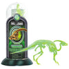 GLOW IN DARK-PARASAUROLOPHUS {{