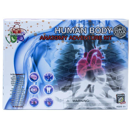 HUMAN BODY ANATOMY ADVENTURE {{KIT