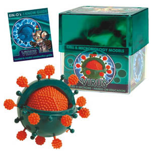 VIRUS-CELL AND MICROBIOLOGY MODE MODEL