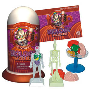 BIOLOGY MODELS {{