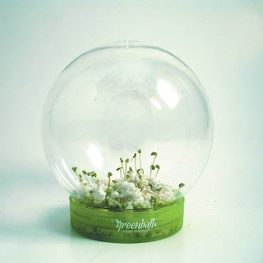 GREENBALL BIOSPHERE BASIL 4 INCH DIAMETER