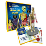 HUMAN ANATOMY MODEL GLOW-IN-DARK NATIONAL GEOGRAPHIC