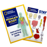 HUMAN ANATOMY MODEL GLOW-IN-DARK NATIONAL GEOGRAPHIC