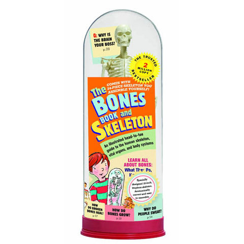 THE BONES BOOK AND SKELETON {{