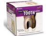HUMAN TOOTH MODEL SOFT FOAM CROSS-SECTION TOOTH