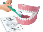 GIANT DENTAL CARE MODEL W/GIANT {{TOOTHBRUSH