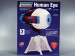 HUMAN EYE ANATOMY MODEL KIT LINDBERG UNASSEMBLED SCALE 4:1