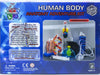 HUMAN BODY ANATOMY ADVENTURE {{KIT