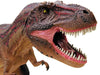 TYRANNOSAURUS REX ANATOMY MODEL 39PARTS W/STAND & BOOK