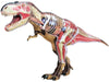 TYRANNOSAURUS REX ANATOMY MODEL 39PARTS W/STAND & BOOK