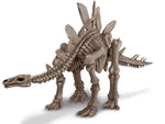 DIG A DINOSAUR SKELETON STEGOSAURUS