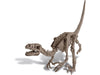 DIG A VELOCIRAPTOR
