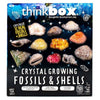 THINKBOX CRYSTAL GROWING FOSSILS SHELLS
