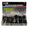 HEX SOCKET CAP SCREWS ASSORTED