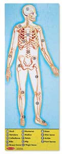 HUMAN ANATOMY FLOOR PUZZLE 100PCS