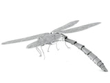 DRAGONFLY METAL EARTH 3D LASER CUT MODEL