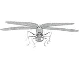 DRAGONFLY METAL EARTH 3D LASER CUT MODEL