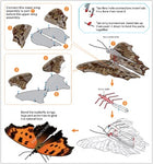 BUTTERFLY EASTERN COMMA METAL EARTH 3D LASER CUT MODEL