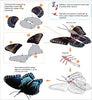 BUTTERFLY RED SPOTTED PURPLE METAL EARTH 3D LASER CUT MODEL