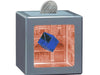 ART BANK CUBE ASSORTED COLOURS