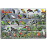 PLACEMAT POPULAR BIRDS