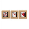 CANADA SOUVENIR CUP ASSORTED STYLE