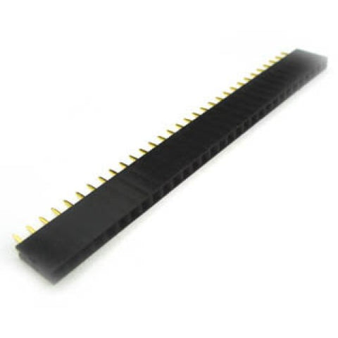 SIPSKT 2.5MM 31S NBST GOLD BLACK
