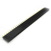 SIPSKT 2.5MM 20S NBST GOLD BLACK