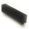 DIPSKT 2.5MM 24S PCST GOLD {{