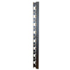 CABLE ORGANIZER 40U VERTICAL W-2.69IN W/DOOR FOR C2 CABINET