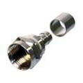 F PLUG RG6 CRIMP WITH RING {{