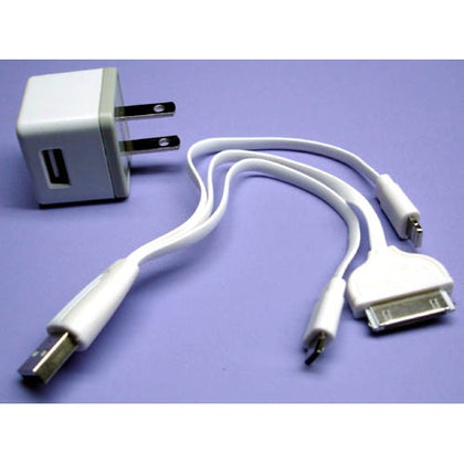USB WALL CHARGER 5VDC 1A WITH 30P/LIGHTNING/MICRO CONN