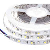 LED FLEXIBLE STRIP WARM WHITE 5M 12V@2A WATERPROOF IP65 3528 SMD