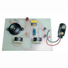 JUNGLE BIRD - SOUND EFFECTS {{