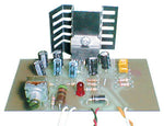 AMPLIFIER MONO 20W RMS {{