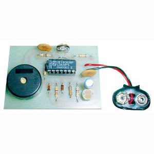 ELECTRONIC CRICKET